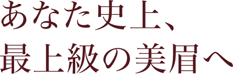 あなた史上、最上級の美眉へ