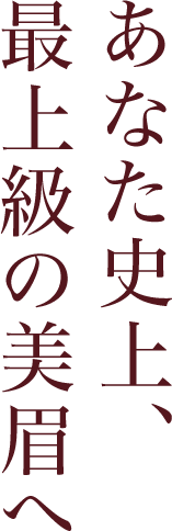 あなた史上、最上級の美眉へ