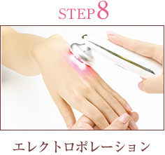 STEP8  エレクトロポレーション